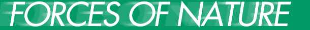 forces.gif (4650 bytes)